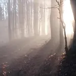 Nature *