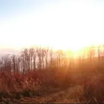 Nature *