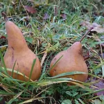 בית אירוח Nature Trenčín