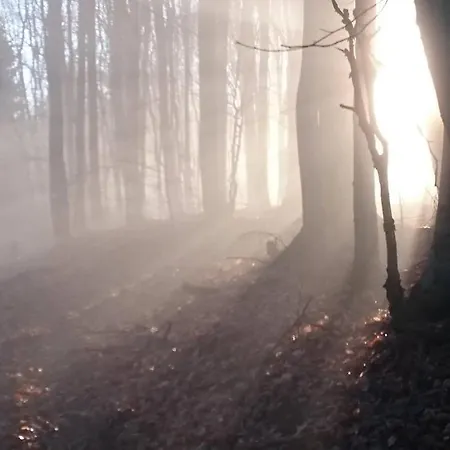 Nature *