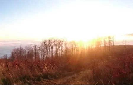 Nature *