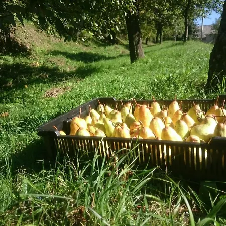 Nature בית אירוח