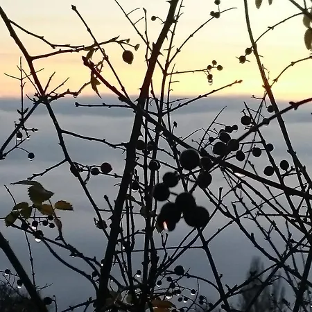 Nature Rum i privatbostad