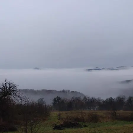 Nature * Trenčín