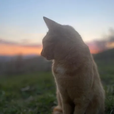 منزل للإقامة Nature *