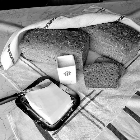 Nature منزل للإقامة *