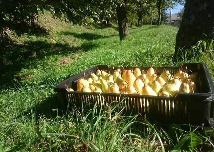 Nature Quarto em Acomodações Particulares